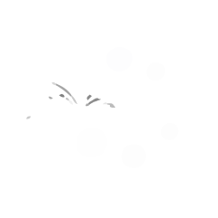 bookstoresweekly_logo